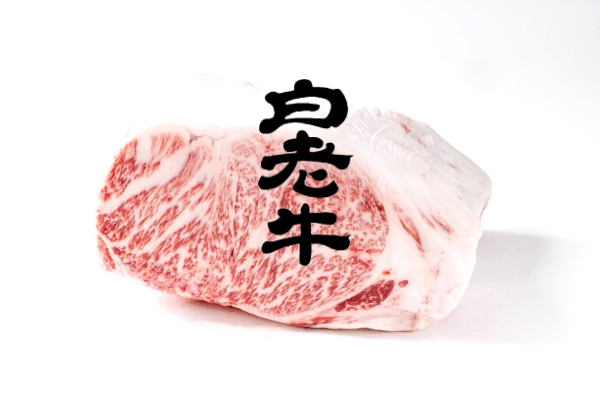 白老牛
